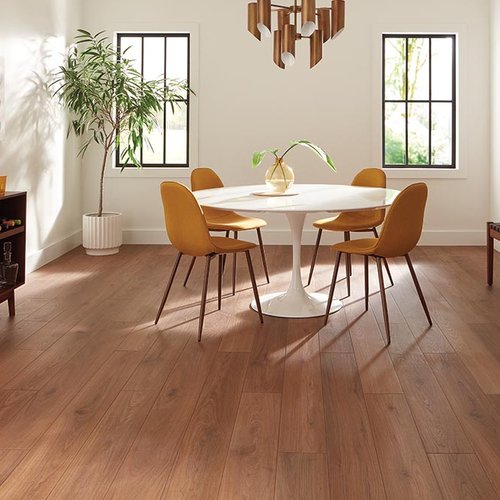 Dining Room Luxury Vinyl Plank LVP - Floorco of Rochester in Rochester, MN